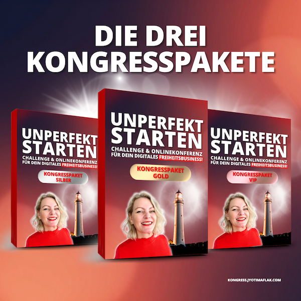 Kongresspaket